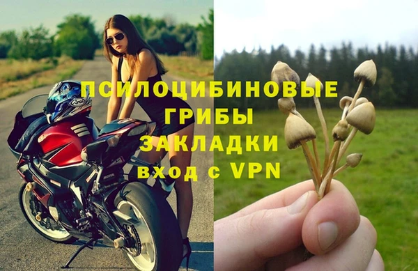 гидропоника Нязепетровск