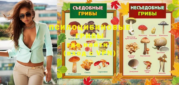 не бодяженный Няндома