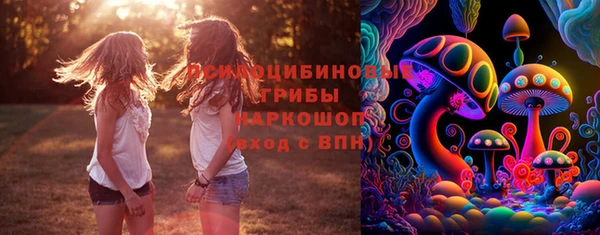 меф Алапаевск