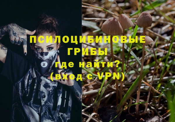 гидропоника Нязепетровск
