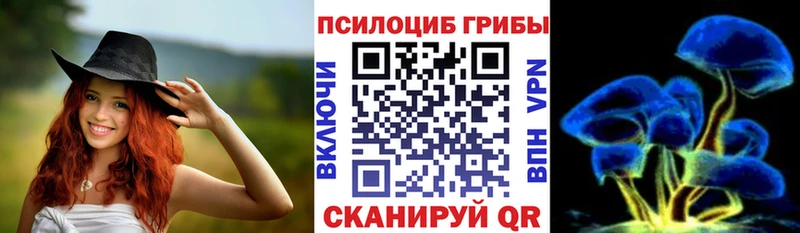 Псилоцибиновые грибы мицелий Сызрань