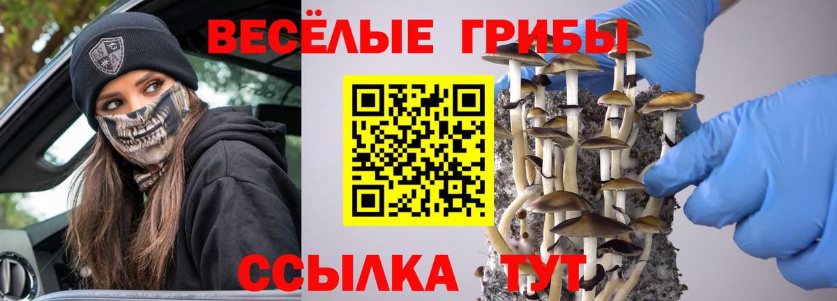 Сызрань  Псилоцибиновые грибы прущие грибы  Вход с VPN  Галлюциногенные грибы GOLDEN TEACHER 